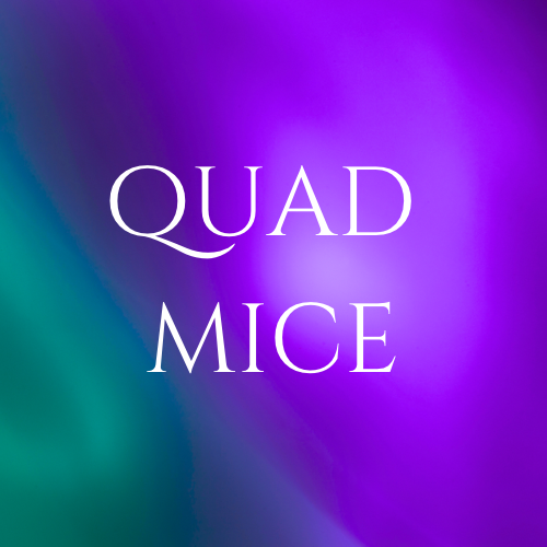 Quad Mice